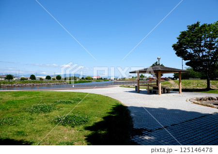 愛知県弥富市_三ツ又池公園1_2024年6月 125146478