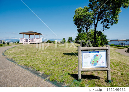 愛知県弥富市_三ツ又池公園4_2024年6月 125146481