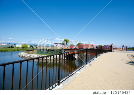 愛知県弥富市_三ツ又池公園7_2024年6月 125146484