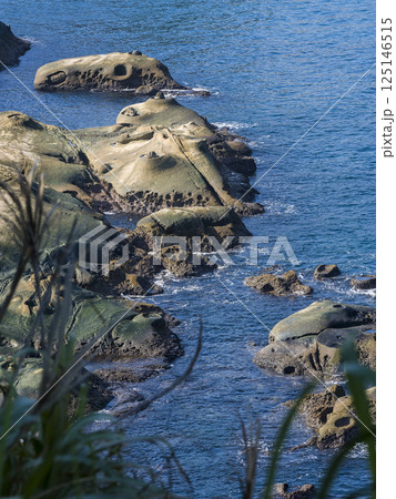 台湾・野柳地質公園 「燭台石」や壺穴が点在する岩石海岸 / Yehliu, Taiwan 125146515