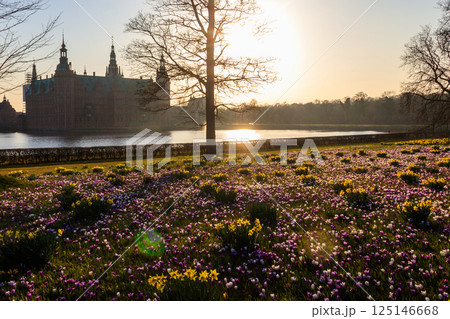 View of Frederiksborg castle in Hillerod, Denmark. Beautiful lake and garden with crocuses and daffodils on a foreground 125146668