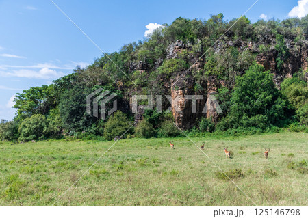 Lake Nakuru National Park Landscape 125146798