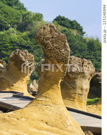 台湾・野柳風景特定区のキノコ岩（蕈状岩） / Yehliu Geopark, Taiwan 125146994