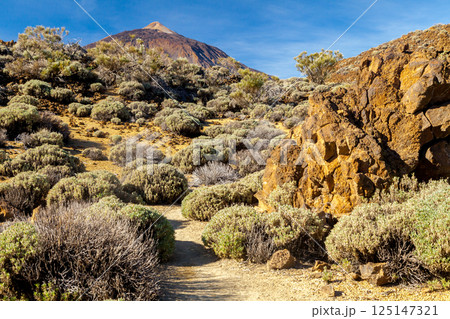 The volcano El Teide in Tenerife, Spain 125147321