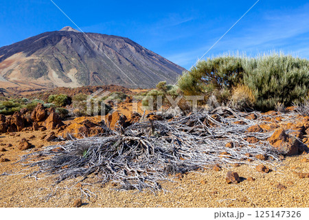 The volcano El Teide in Tenerife, Spain 125147326