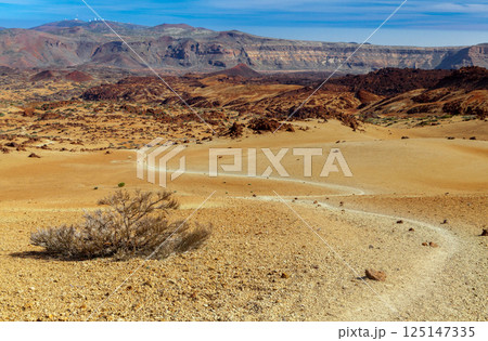 Landscape near Teide volcano, Tenerife 125147335