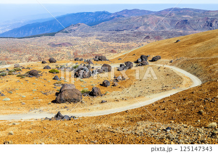 Landscape near Teide volcano, Tenerife 125147343