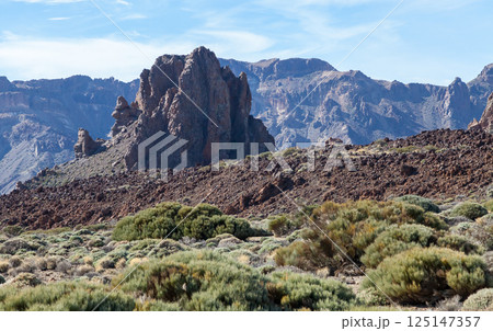 Landscape near Teide volcano, Tenerife 125147357