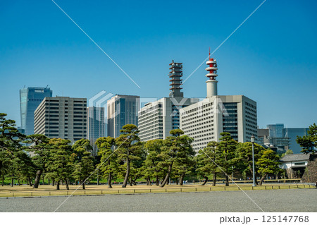 皇居の木々と霞ヶ関 皇居の木々と霞ヶ関 125147768