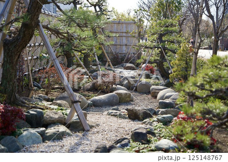 小さな日本庭園のクローズアップ 125148767