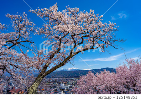長野県 春日公園 桜満開の風景 125148853