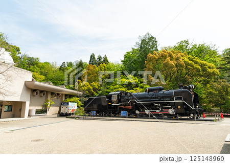 保存車両　D51 408を眺める　かわさき宙と緑の科学館の隣　春の青空　神奈川県川崎市多摩区 125148960