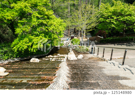 川崎市岡本太郎美術館の東側　階段と川が並走　春の青空　神奈川県川崎市多摩区 125148980
