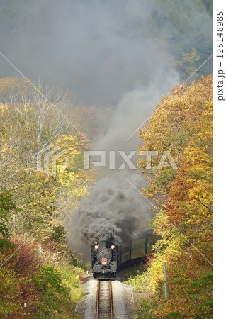 紅葉の函館本線 125148985