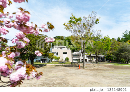 かわさき宙と緑の科学館と八重桜 春の青空 神奈川県川崎市多摩区 かわさき宙と緑の科学館と八重桜 春の青空 神奈川県川崎市多摩区 125148991