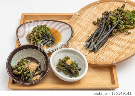 わらび料理とザルに乗ったワラビの素材写真　いろいろな種類の日本料理 125149141