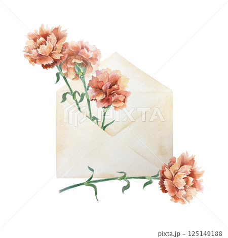 Red carnations in vintage envelope. Hand drawn watercolor illustration isolated on white. For Mothers Day, Birthday, Revolution, Independence, Remembrance, Victory cards, invitations, labels. Red carnations in vintage envelope. Hand drawn watercolor illustration isolated on white. For Mothers Day, Birthday, Revolution, Independence, Remembrance, Victory cards, invitations, labels. 125149188