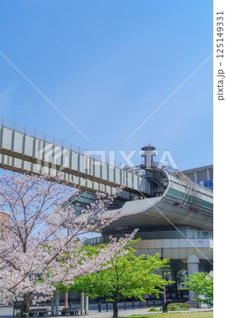 【千葉県千葉市】都川公園の桜と千葉都市モノレール・県庁前駅 125149331