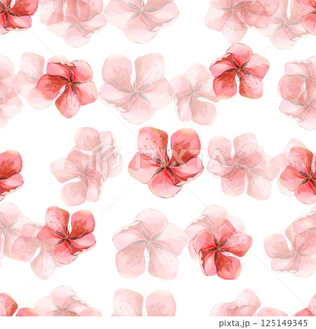 Pattern Sakura flowers red pink watercolor frames on white background in high quality. Ideal for textiles, clothes, invitations, stationery tableware. Spring flowers will perfectly decorate home decor 125149345