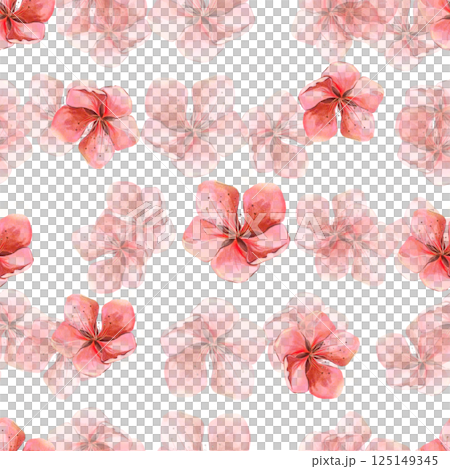 Pattern Sakura flowers red pink watercolor frames on white background in high quality. Ideal for textiles, clothes, invitations, stationery tableware. Spring flowers will perfectly decorate home decor 125149345