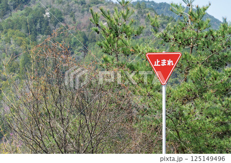 一時停止の道路標識 一時停止の道路標識 125149496