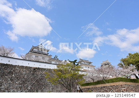 福山駅北口から見える福山城の月見櫓と桜 125149547