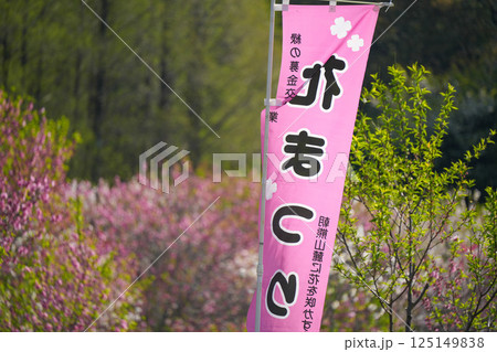 花桃 125149838