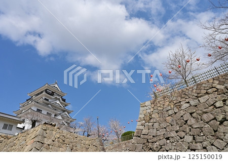 福山城の天守閣とサクラ 福山城の天守閣とサクラ 125150019