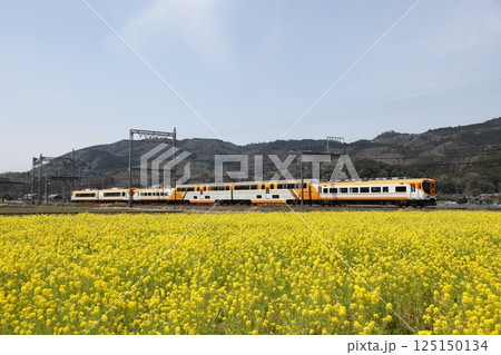 近鉄30000系電車 近鉄30000系電車 125150134