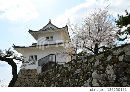 鏡櫓とソメイヨシノ（福山城） 125150151