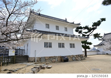 城内の鏡櫓とソメイヨシノ（福山城） 125150163