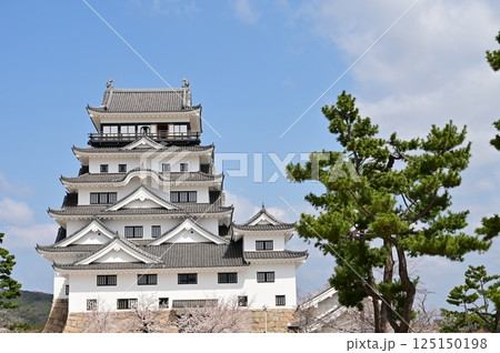 天守閣とソメイヨシノ(福山城) 天守閣とソメイヨシノ(福山城) 125150198