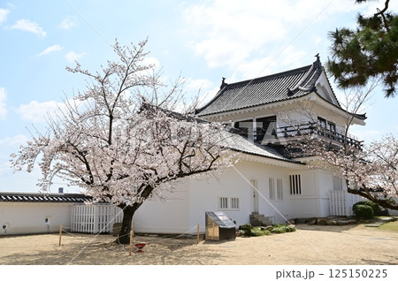 城内の月見櫓とソメイヨシノ(福山城) 城内の月見櫓とソメイヨシノ(福山城) 125150225