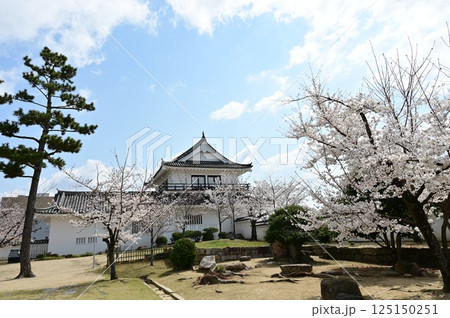 城内の月見櫓とソメイヨシノ(福山城) 城内の月見櫓とソメイヨシノ(福山城) 125150251
