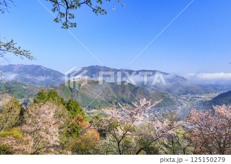 桜満開に咲く立雲峡から望む雲海の中の竹田城跡 125150279
