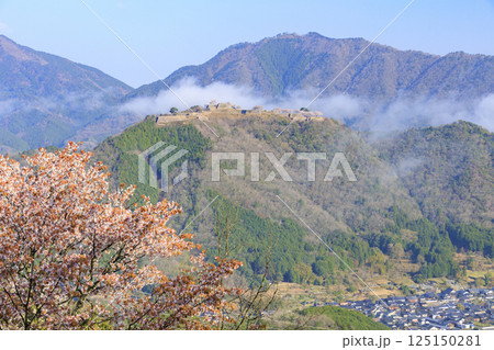 桜満開に咲く立雲峡から望む雲海の中の竹田城跡 桜満開に咲く立雲峡から望む雲海の中の竹田城跡 125150281