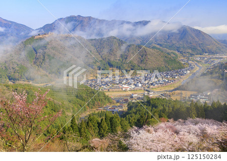 桜満開に咲く立雲峡から望む雲海の中の竹田城跡 125150284
