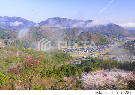 桜満開に咲く立雲峡から望む雲海の中の竹田城跡 桜満開に咲く立雲峡から望む雲海の中の竹田城跡 125150285