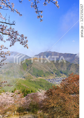 桜満開に咲く立雲峡から望む雲海の中の竹田城跡 125150287