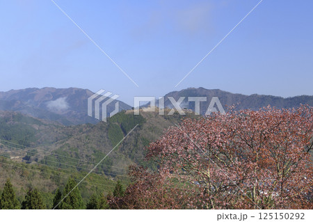 桜満開に咲く立雲峡から望む雲海の中の竹田城跡 桜満開に咲く立雲峡から望む雲海の中の竹田城跡 125150292