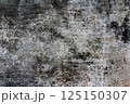 Wall Background Texture 125150307