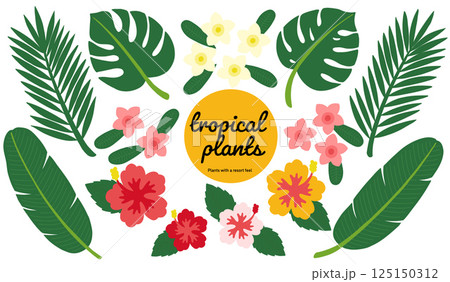 南国の植物A　パーツいろいろ 125150312