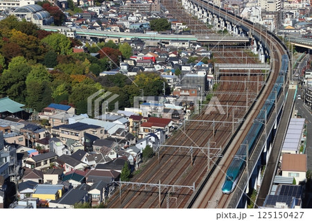 東北新幹線E5系(10両編成) 東北新幹線E5系(10両編成) 125150427