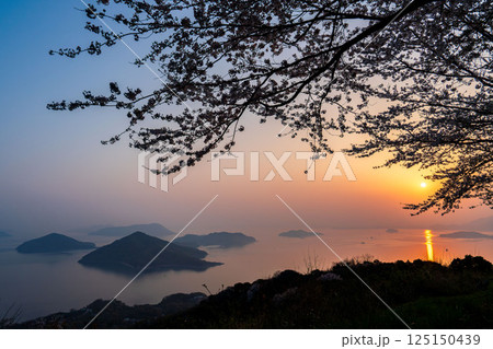 紫雲出山の絶景 紫雲出山の絶景 125150439