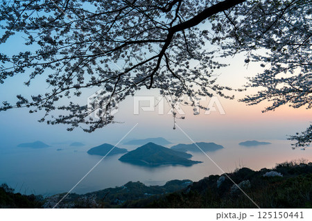 紫雲出山の絶景 125150441