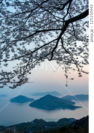 紫雲出山の絶景 紫雲出山の絶景 125150443
