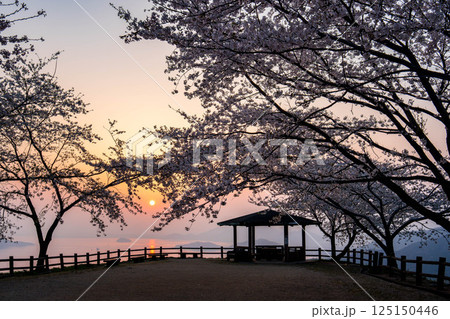 紫雲出山の絶景 紫雲出山の絶景 125150446