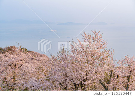 紫雲出山の絶景 125150447