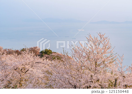 紫雲出山の絶景 紫雲出山の絶景 125150448