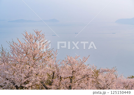 紫雲出山の絶景 紫雲出山の絶景 125150449
